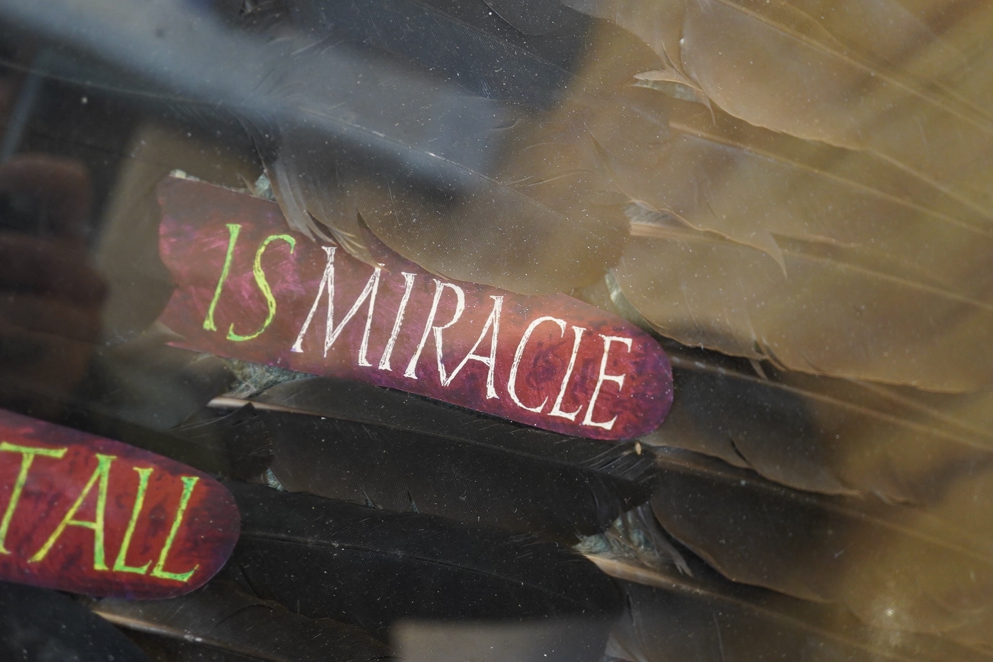 A framed American feather appliqué with message “To Live At All Is A Miracle Enough”, 84cm high, 53wide. Condition - good